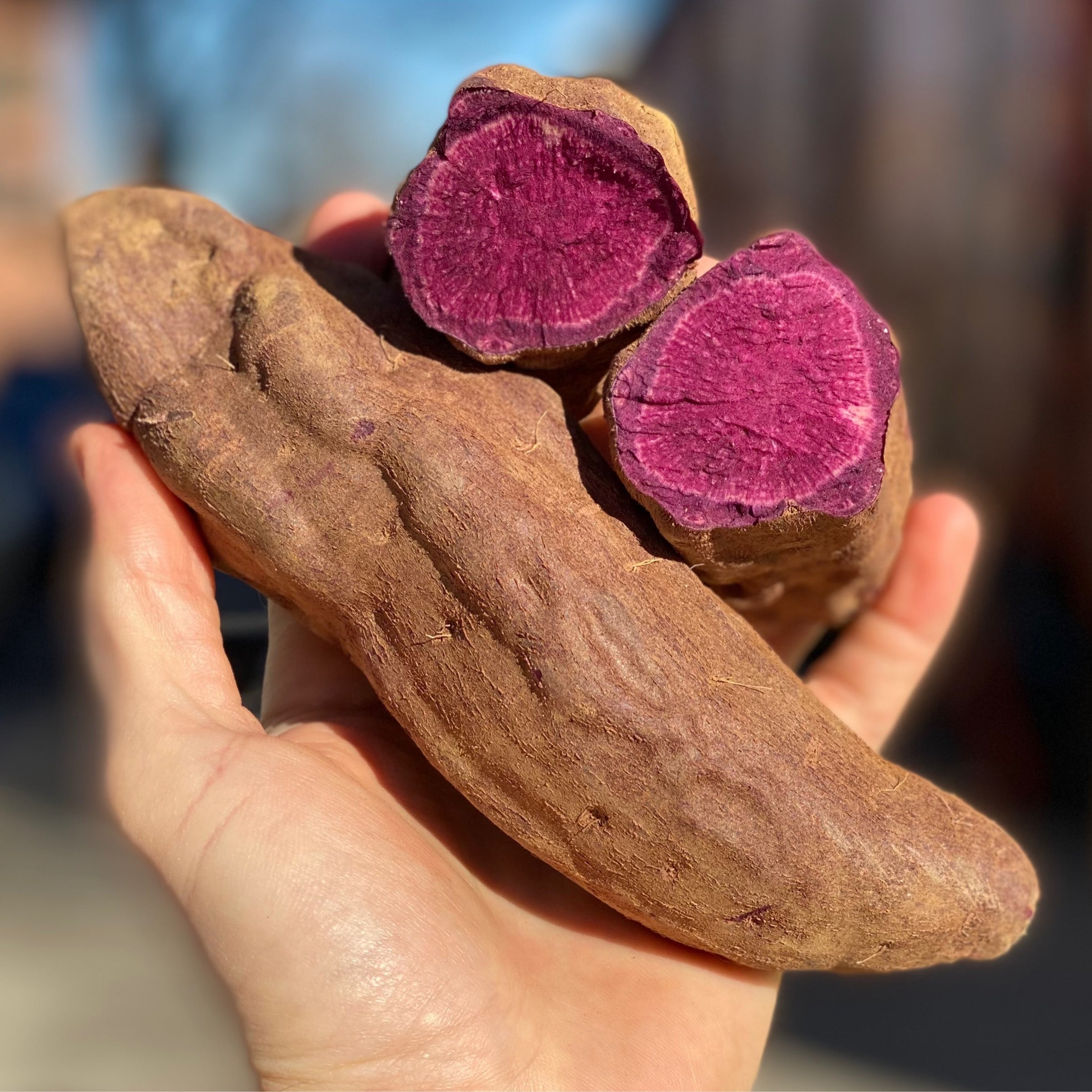 Organic Sweet Potatoes - 1 LB