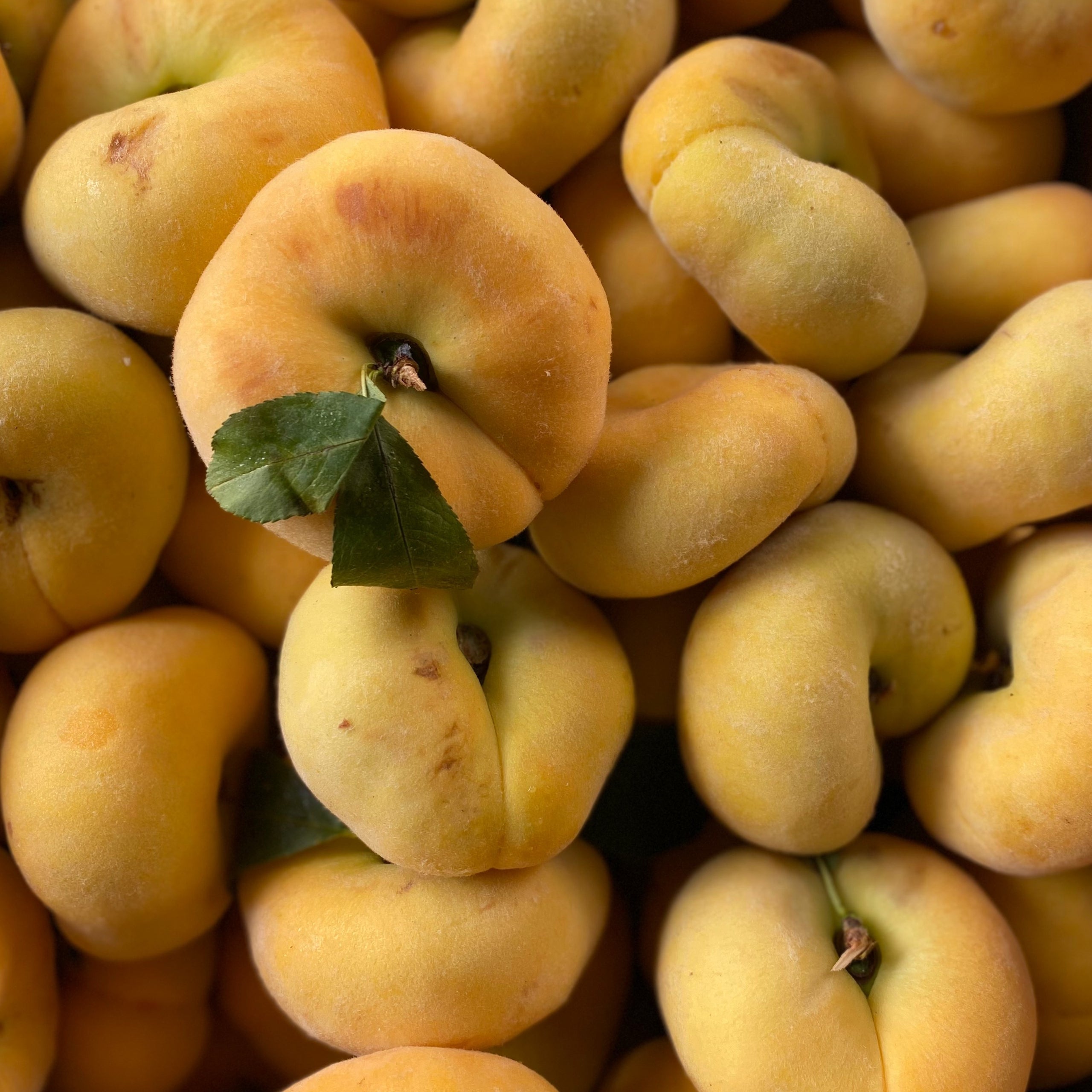 Donut Peaches (1 LB) (IPM) (Yellow) Mitch's Provisions 148 Tompkins