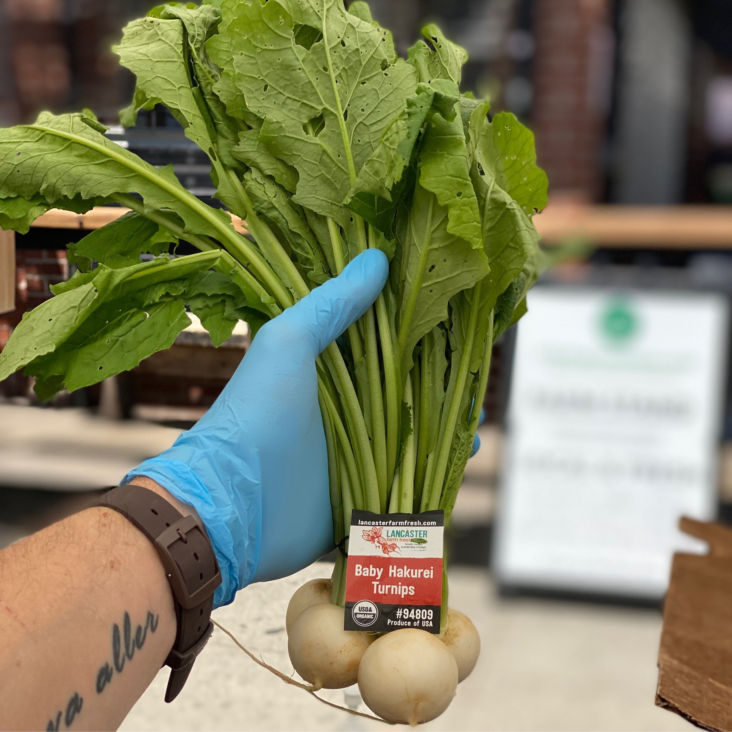 Lancaster Cooperative Organic White Potatoes